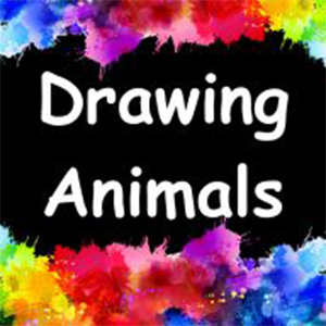 Best Pencils For Drawing and Pan Pastels