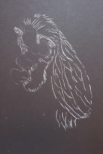 Dog Drawing Step 2 Dog Drawing Step 2