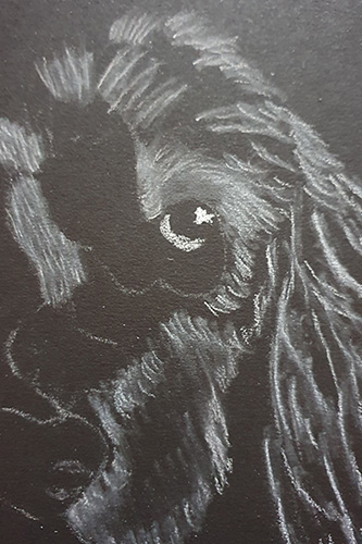 Dog Drawing Step 3 Dog Drawing Step 3