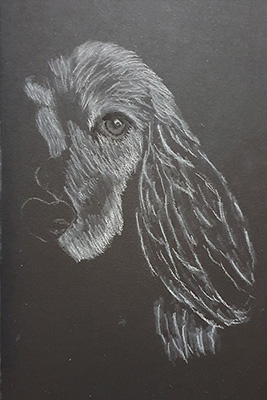 Dog Drawing Step 6 Dog Drawing Step 6