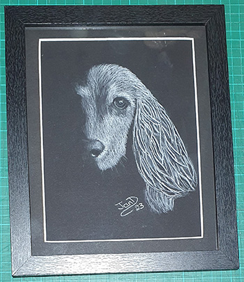 Pastel Pencil Drawing on Black Paper in Handmade Mount by JanD