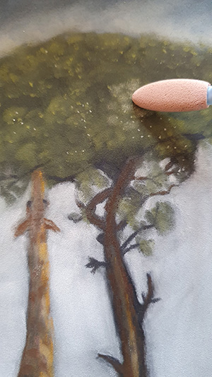 Tree Highlights Step 12