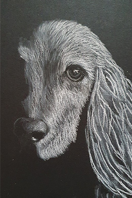 Dog Drawing Step 8 Dog Drawing Step 8