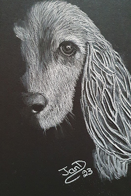 Dog Drawing Step 9 Dog Drawing Step 9