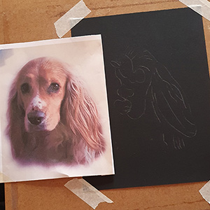 Dog Tracing Dog Tracing