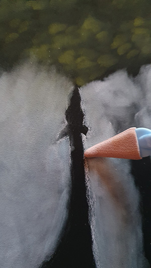 Giraffe Edges Step 5 Giraffe Edges Step 5