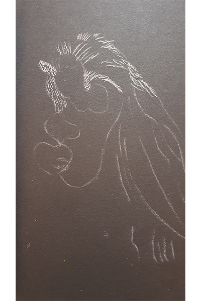 Drawing the Dog Step 1 Drawing the Dog Step 1