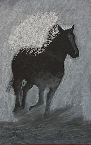 Black & White Horse Step 7