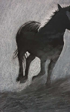 Black & White Horse Step 8