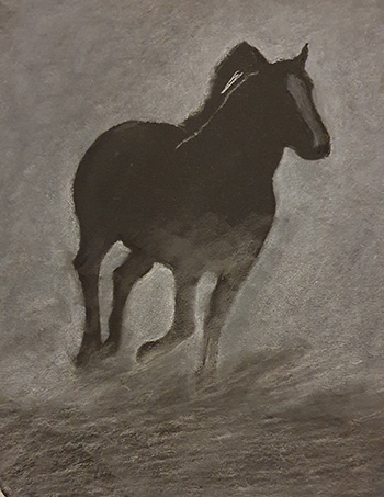 Black & White Horse Step 5