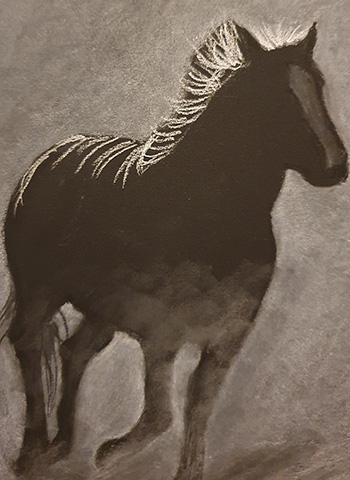 Black & White Horse Step 6